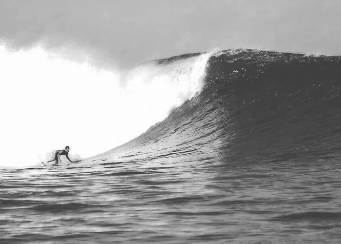 Resort Surfers Medewi Jembrana (Bali)